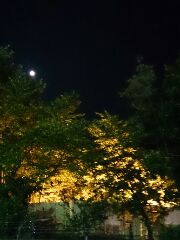 温泉にきました（銭湯）