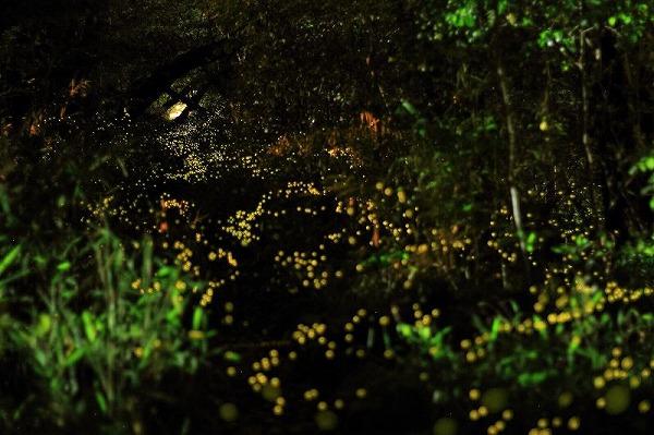 ６月といえば、、