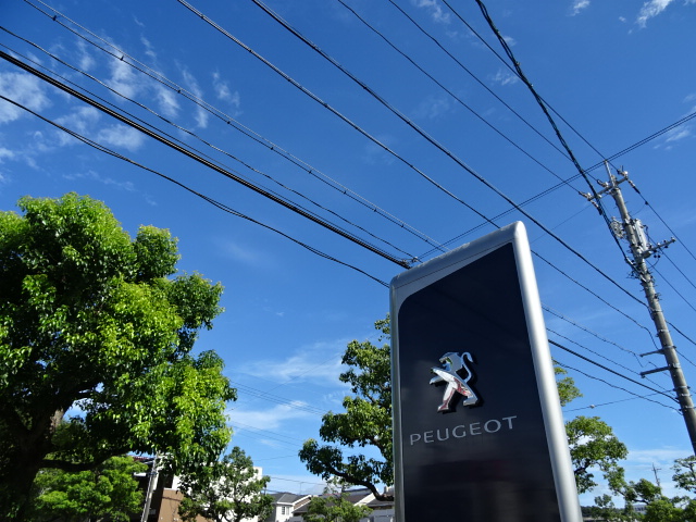 今日の空