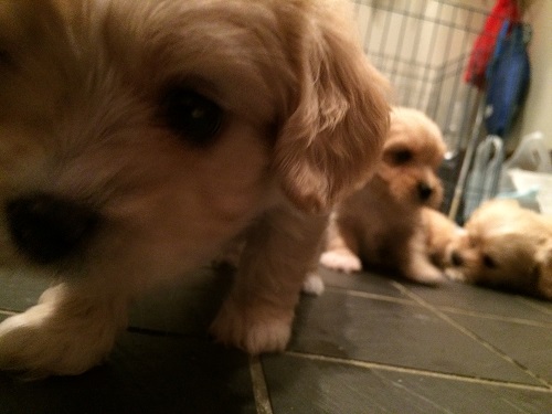 お別れしました(;_;)