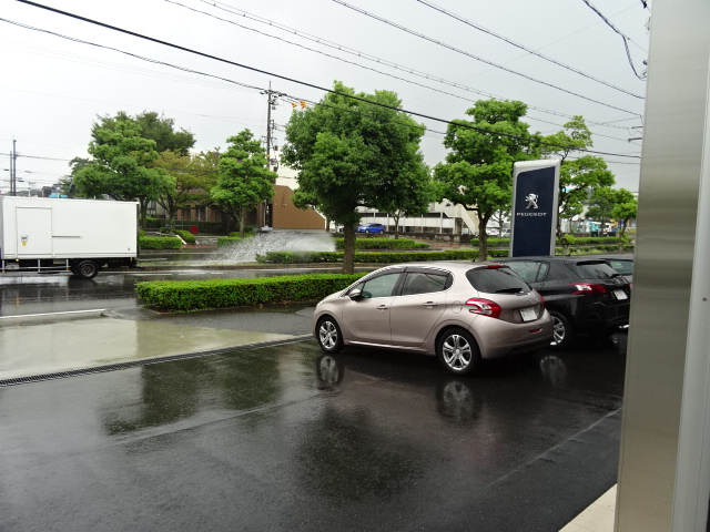 ザっと降る雨にご用心