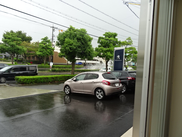 ザっと降る雨にご用心