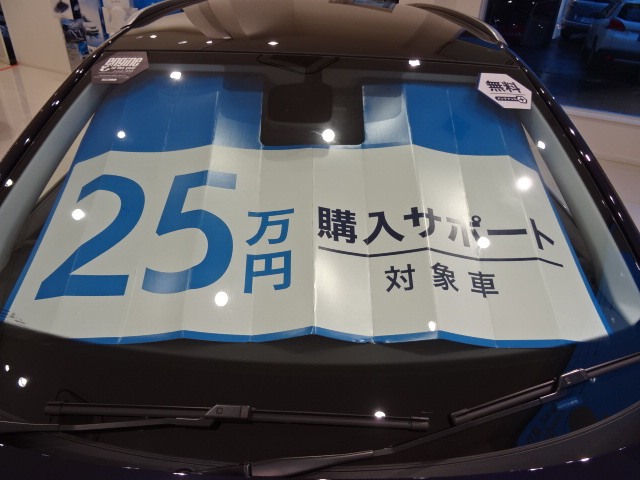 今月末まで！！