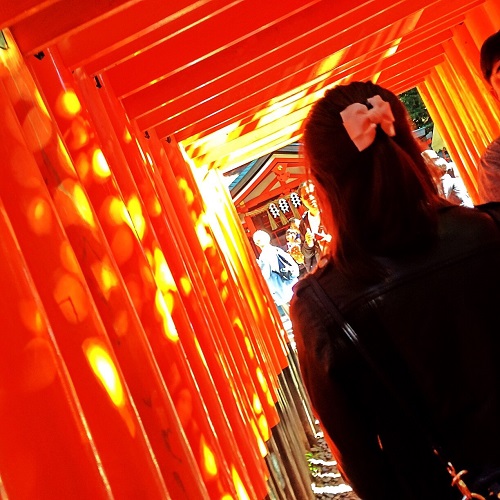 日帰り京都旅行🍁　Ⅰ