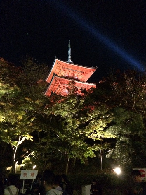 日帰り京都旅行🍁　Ⅲ