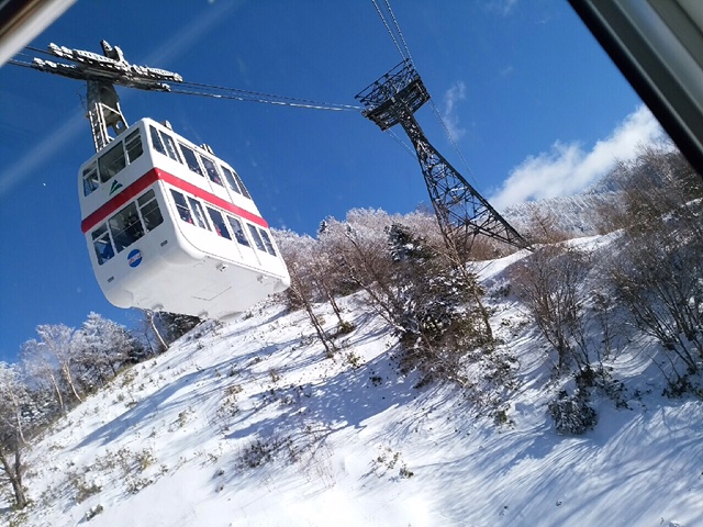 鵜飼の年末年始①