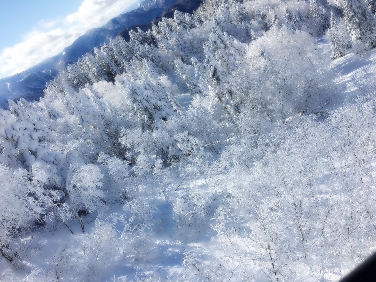 鵜飼の年末年始①