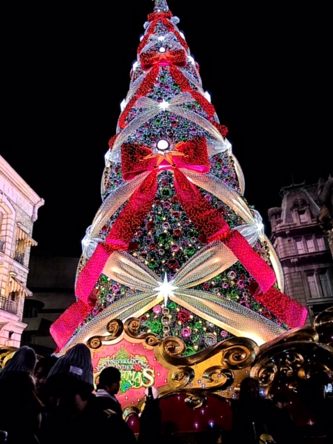 鵜飼の年末年始②