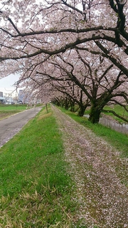 温泉に来ました