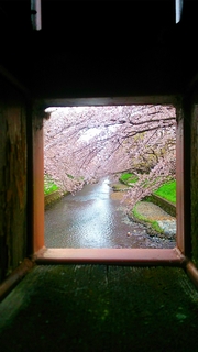 温泉に来ました