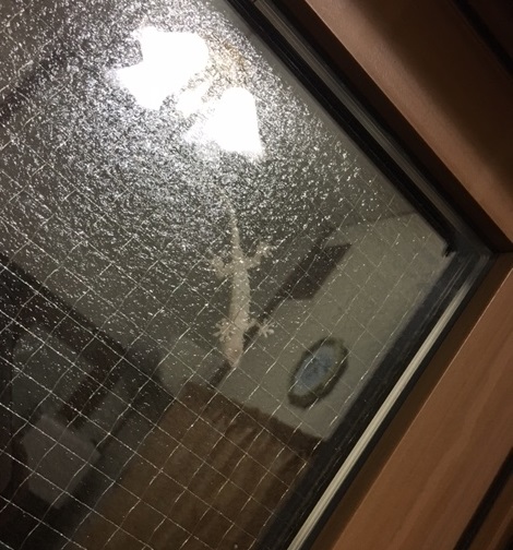 今週末はプジョー岡崎へ(^^)☆