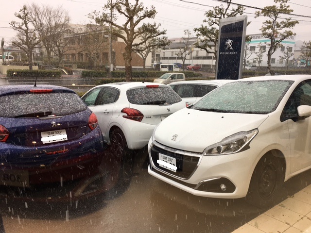雪⛄