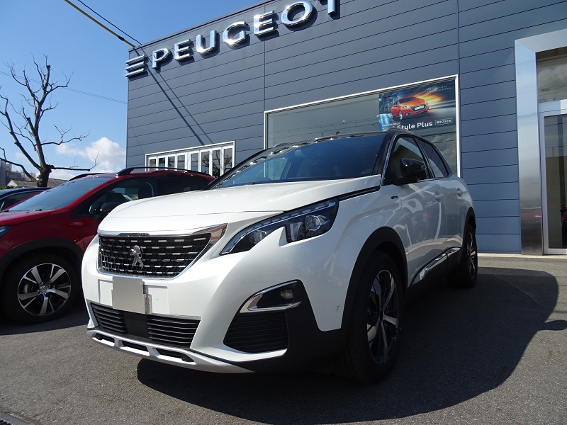 NEW 3008 DEBUT FAIR