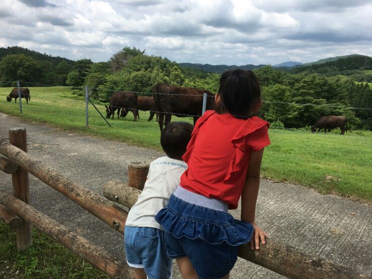 夏休み🌞