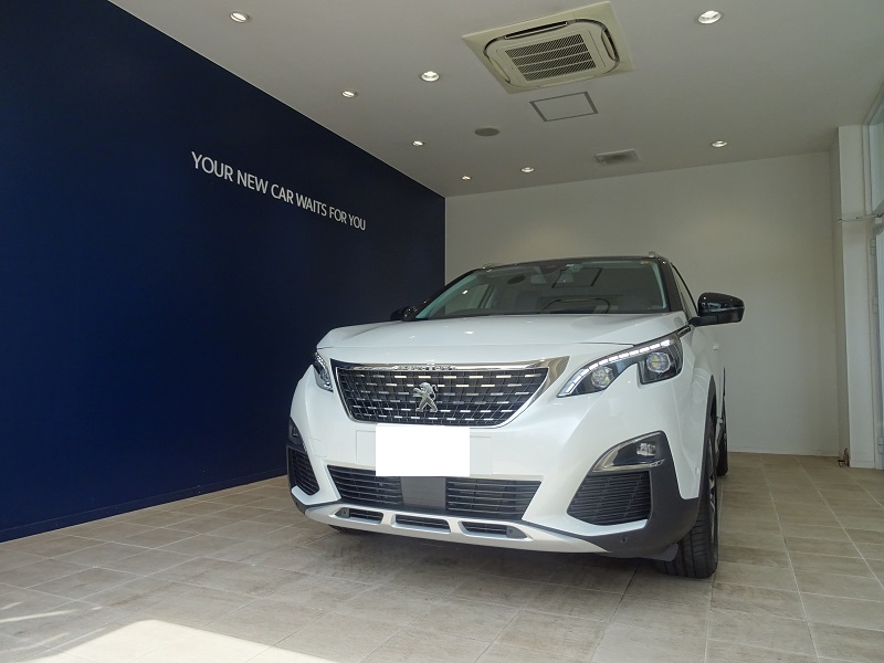 3008ご納車