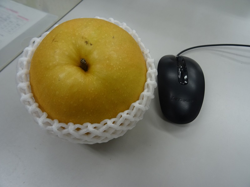 いただきました