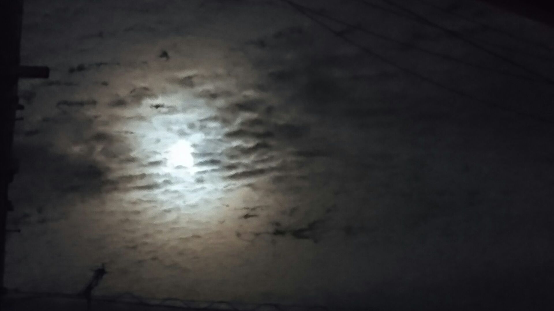 中秋の名月🌙