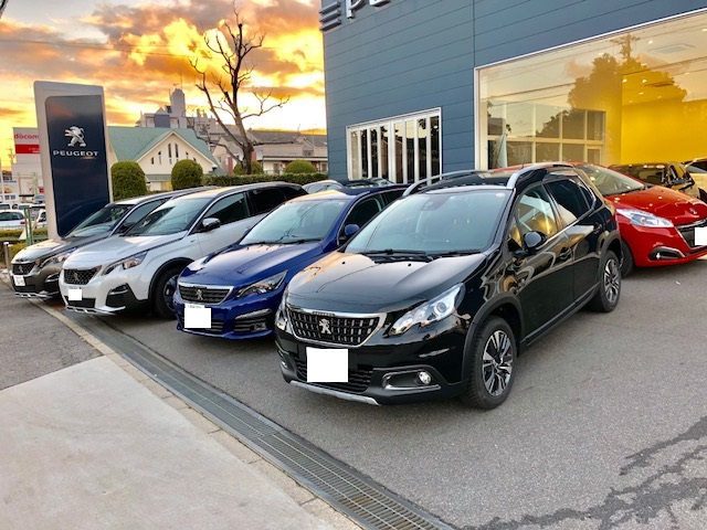 試乗車のご紹介