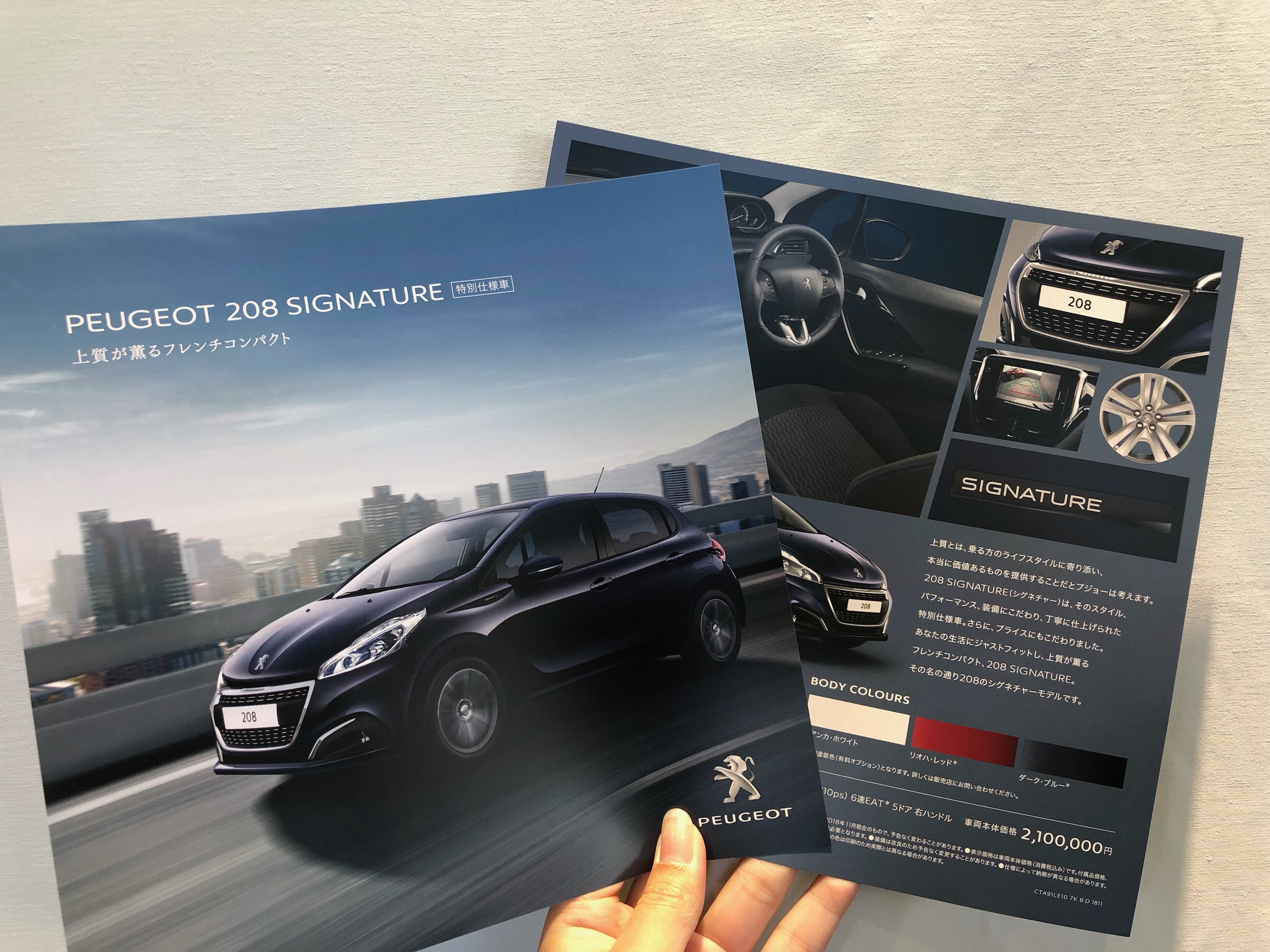 208 SIGNATURE DEBUT FAIR