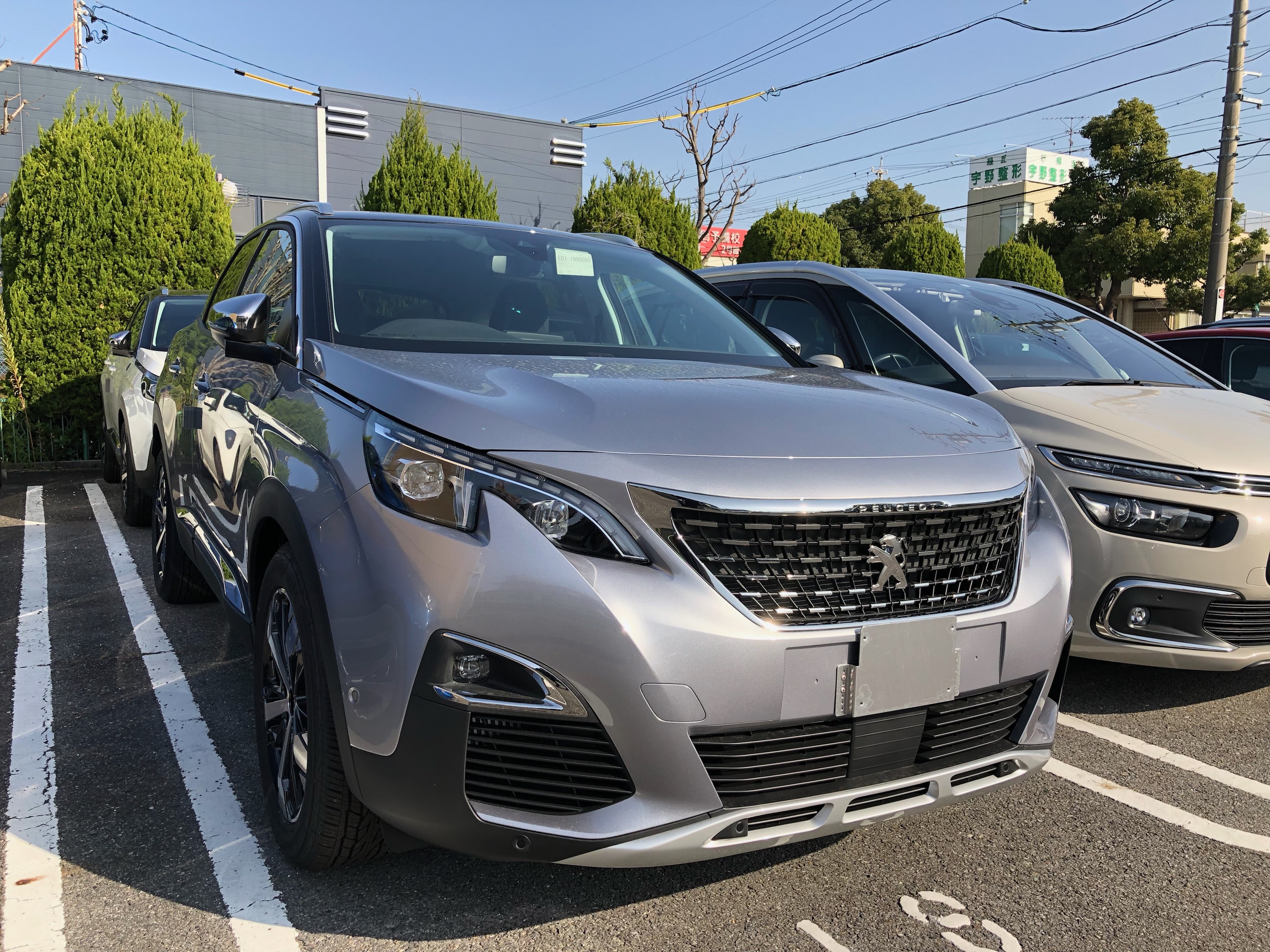 3008／5008 CROSSCITY