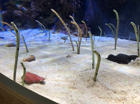 久しぶりに大好きな場所へ…