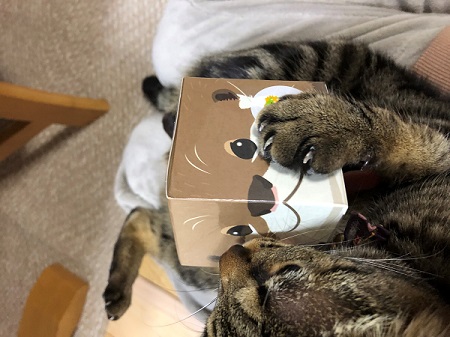 3月始まりました✨