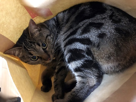 4月始まりました🌸