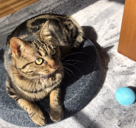 3月も今日でおしまいです