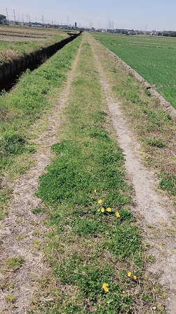 3月も今日でおしまいです