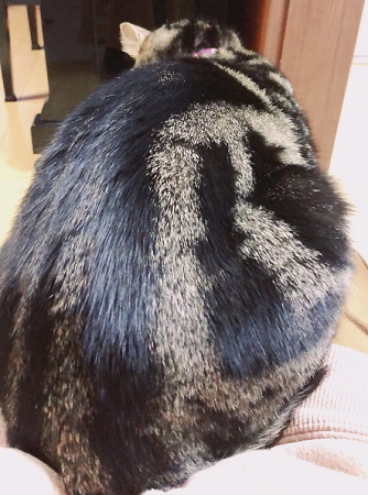 4月も結びます…