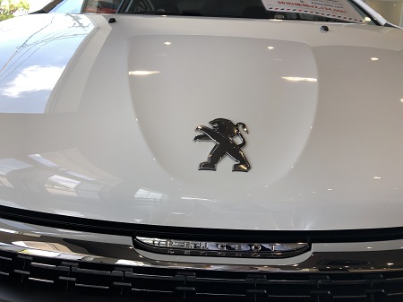 わたしは誰でしょう？①～回答編～