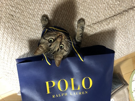 こんにちは8月☆