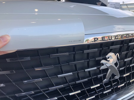 日の光が当たると…？？