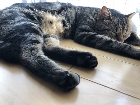 こんにちは、9月