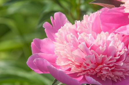 2月、こんにちは