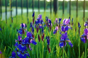 5月始まりました！