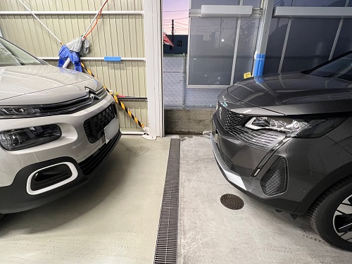 本日より営業しております＼( 'ω')／