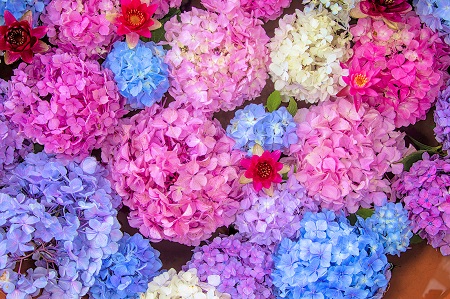 6月こんにちは☺