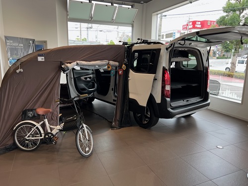 展示車が変わりました