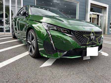 NEWエンブレムの存在感