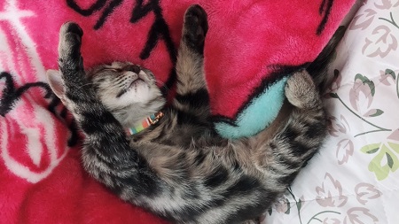 9月ありがとう🌙