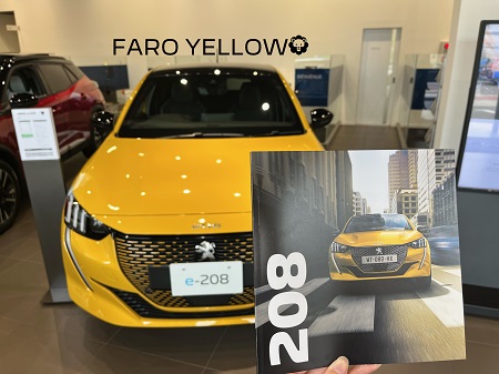 カタログカラー