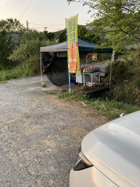 お店の近くの素敵な所