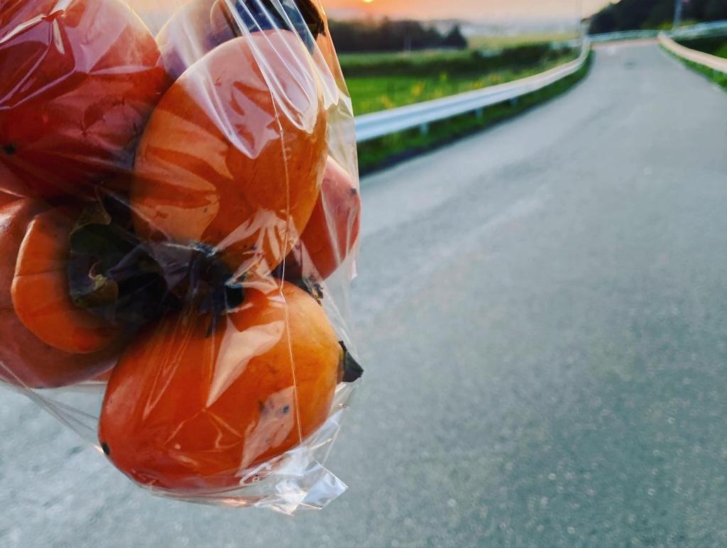 お店の近くの素敵な所