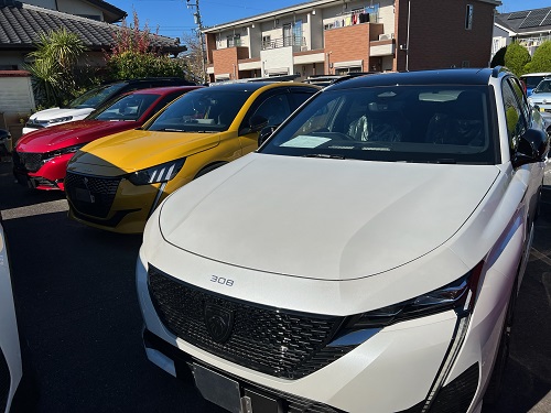 新車が続々と到着しております