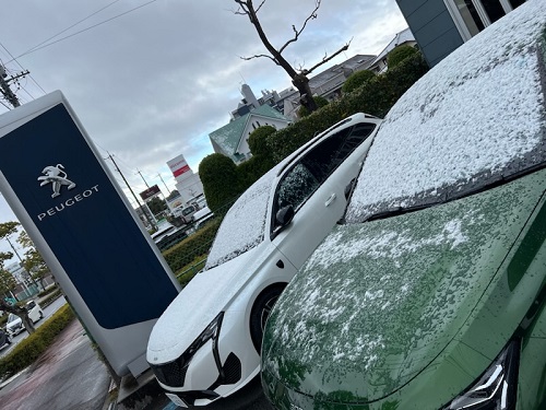 ホワイトクリスマスですね⛄