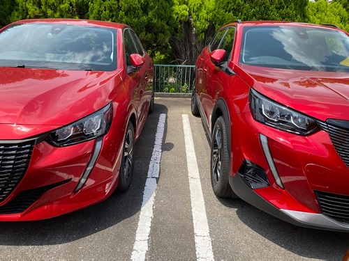 本日より営業しております＼( 'ω')／