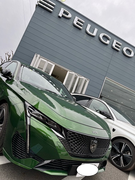 ポカポカ陽気☀