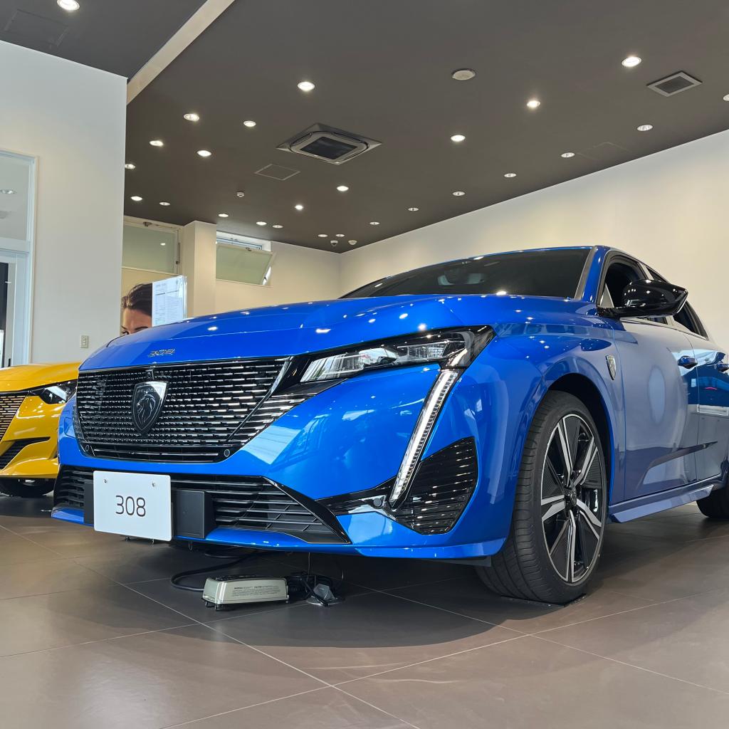 308フロントフェイス