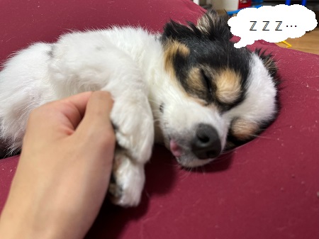 いつの間にか